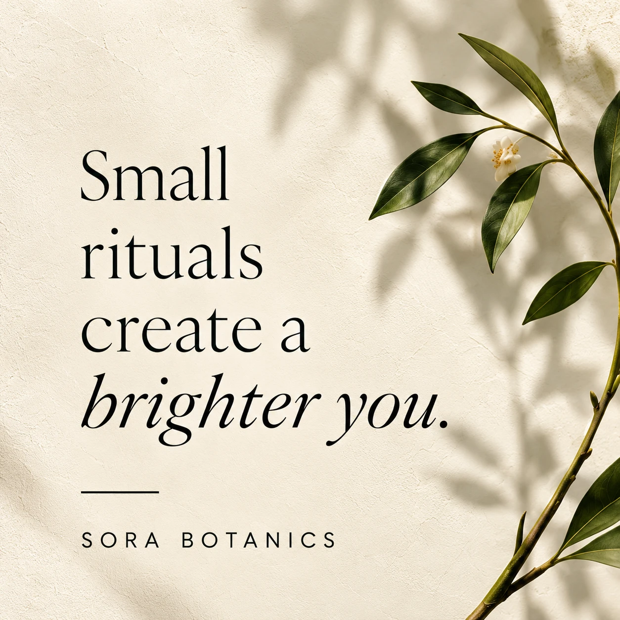 Sora Botanics: Publicación 2